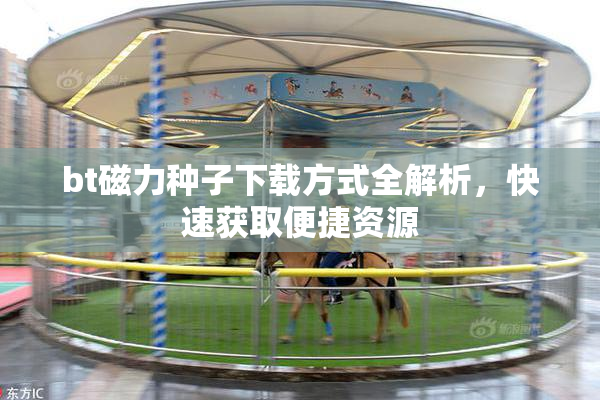 bt磁力种子下载方式全解析，快速获取便捷资源