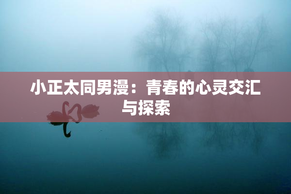 小正太同男漫：青春的心灵交汇与探索