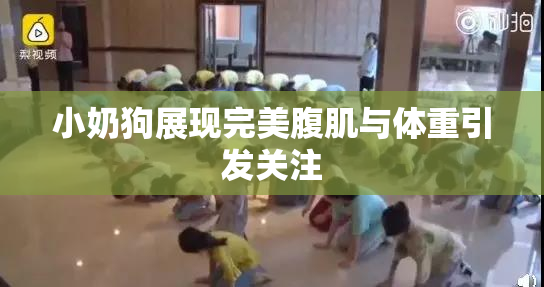小奶狗展现完美腹肌与体重引发关注