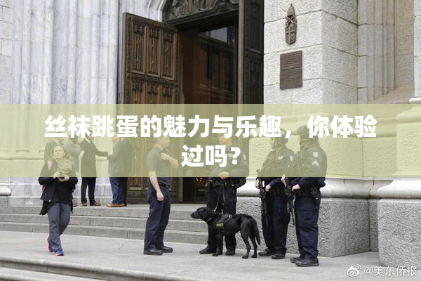 丝袜跳蛋的魅力与乐趣，你体验过吗？
