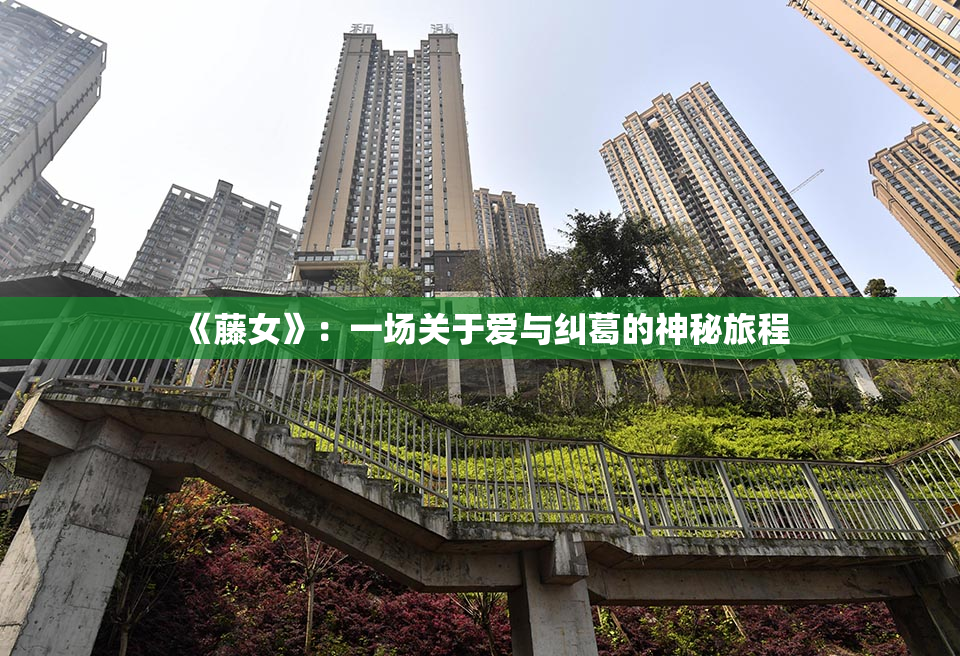 《藤女》：一场关于爱与纠葛的神秘旅程