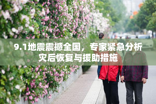 9.1地震震撼全国，专家紧急分析灾后恢复与援助措施