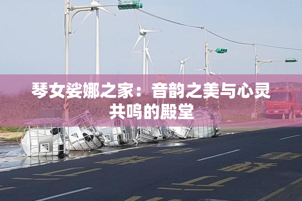 琴女娑娜之家：音韵之美与心灵共鸣的殿堂