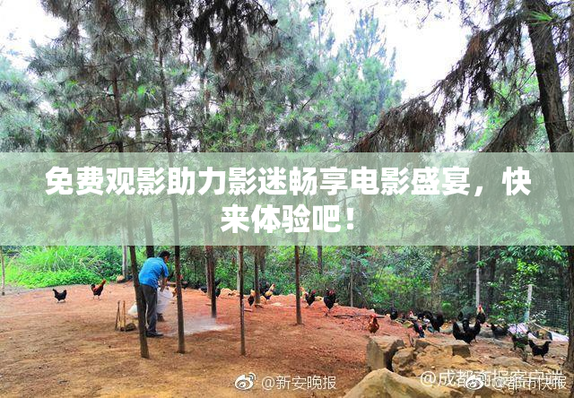 免费观影助力影迷畅享电影盛宴，快来体验吧！