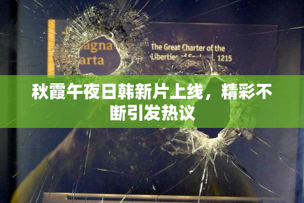 秋霞午夜日韩新片上线，精彩不断引发热议