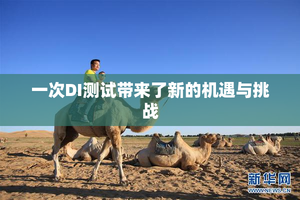 一次DI测试带来了新的机遇与挑战