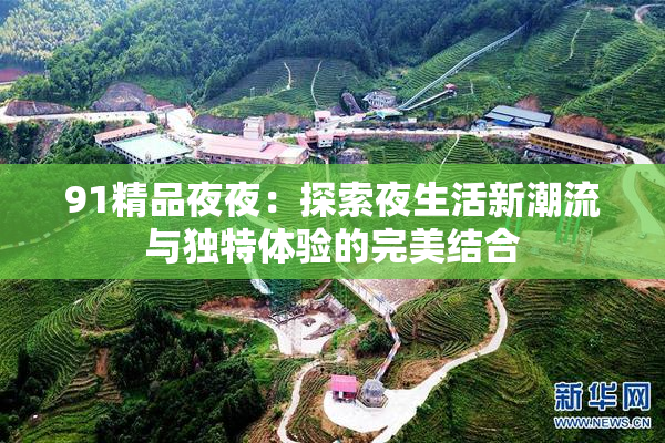 91精品夜夜：探索夜生活新潮流与独特体验的完美结合