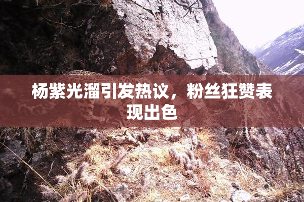 杨紫光溜引发热议，粉丝狂赞表现出色
