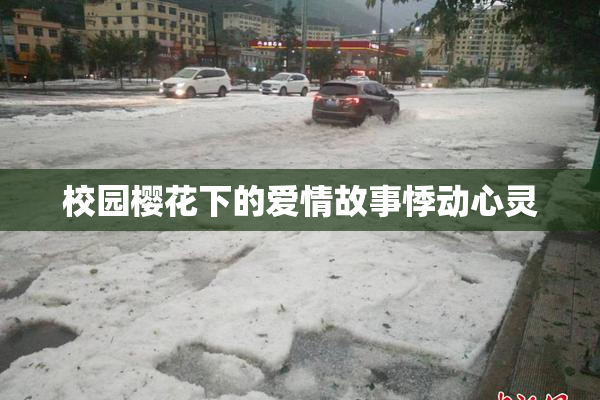 校园樱花下的爱情故事悸动心灵