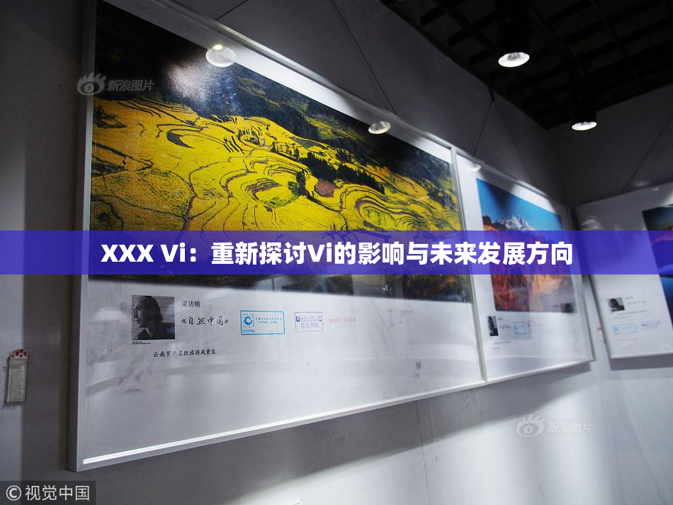 XXX Vi：重新探讨Vi的影响与未来发展方向
