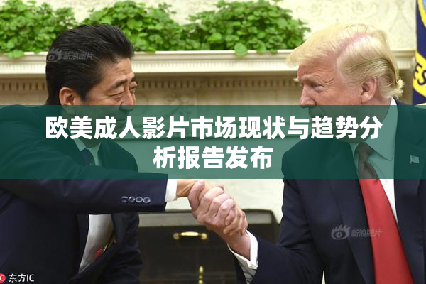 欧美成人影片市场现状与趋势分析报告发布