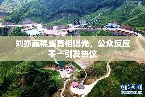 刘亦菲裸露真相曝光，公众反应不一引发热议