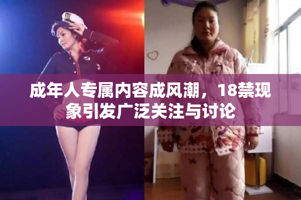 成年人专属内容成风潮，18禁现象引发广泛关注与讨论