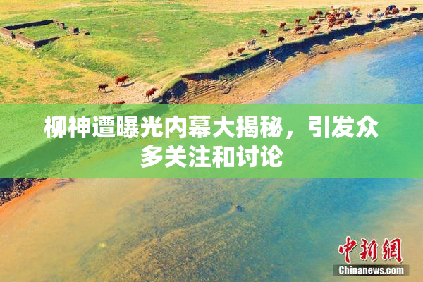 柳神遭曝光内幕大揭秘，引发众多关注和讨论