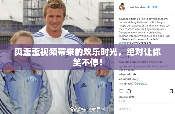 爽歪歪视频带来的欢乐时光，绝对让你笑不停！