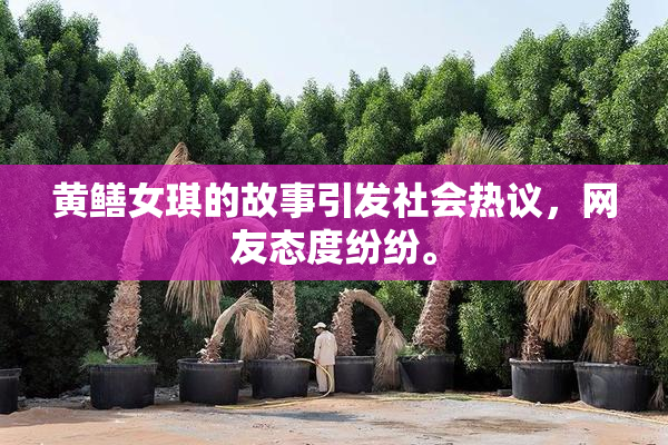 黄鳝女琪的故事引发社会热议，网友态度纷纷。