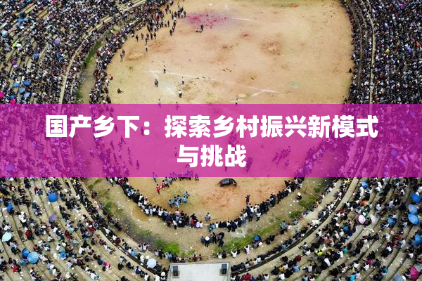 国产乡下：探索乡村振兴新模式与挑战