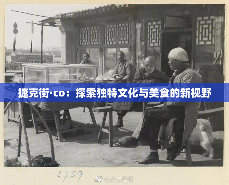 捷克街·co：探索独特文化与美食的新视野