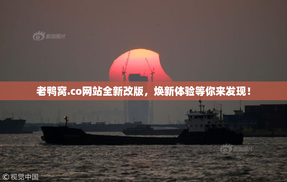 老鸭窝.co网站全新改版，焕新体验等你来发现！