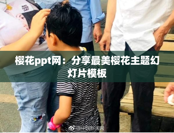 樱花ppt网：分享最美樱花主题幻灯片模板