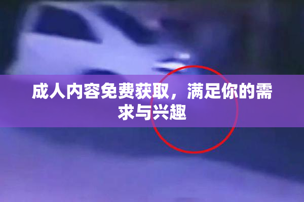 成人内容免费获取，满足你的需求与兴趣