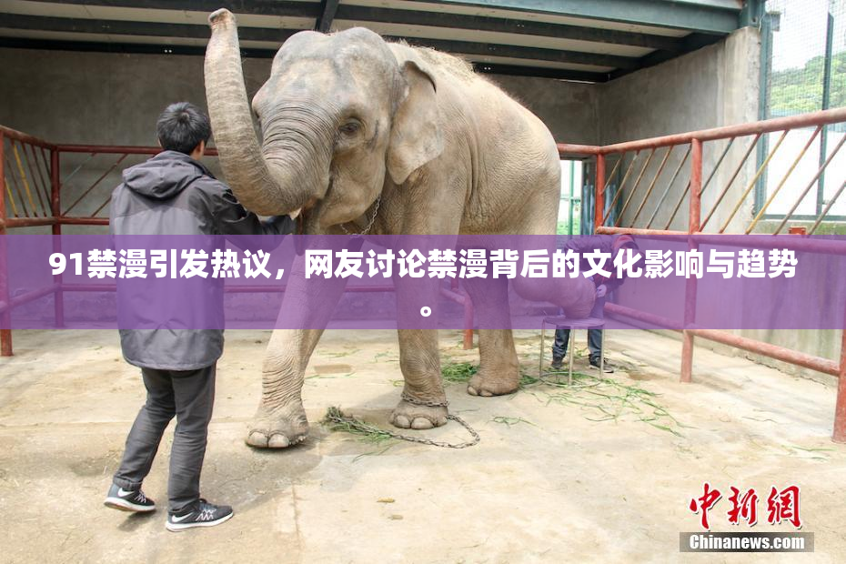 91禁漫引发热议，网友讨论禁漫背后的文化影响与趋势。