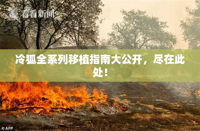 冷狐全系列移植指南大公开，尽在此处！