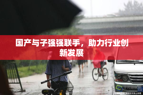 国产与子强强联手，助力行业创新发展