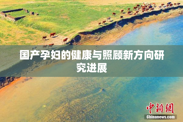 国产孕妇的健康与照顾新方向研究进展