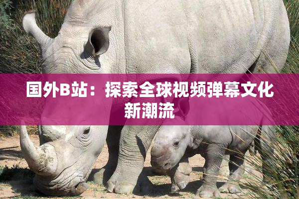 国外B站：探索全球视频弹幕文化新潮流