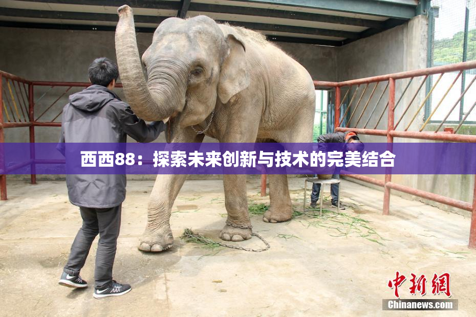 西西88：探索未来创新与技术的完美结合