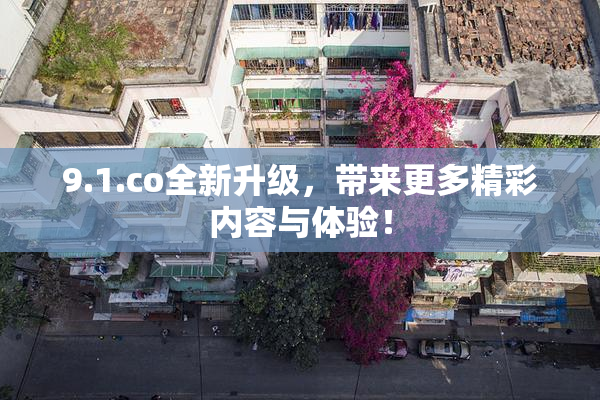 9.1.co全新升级，带来更多精彩内容与体验！