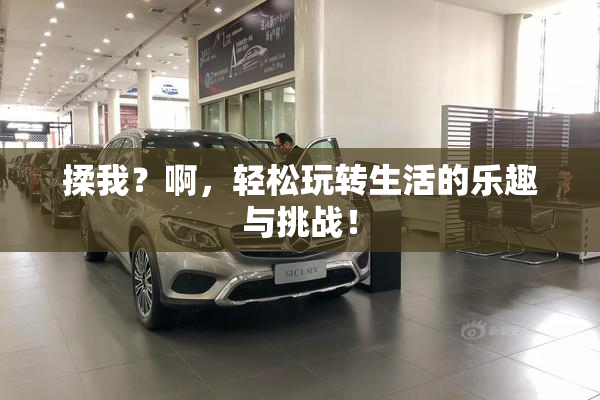 揉我？啊，轻松玩转生活的乐趣与挑战！