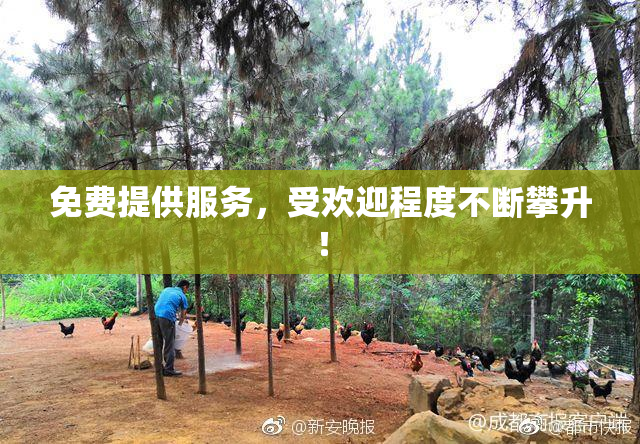 免费提供服务，受欢迎程度不断攀升！