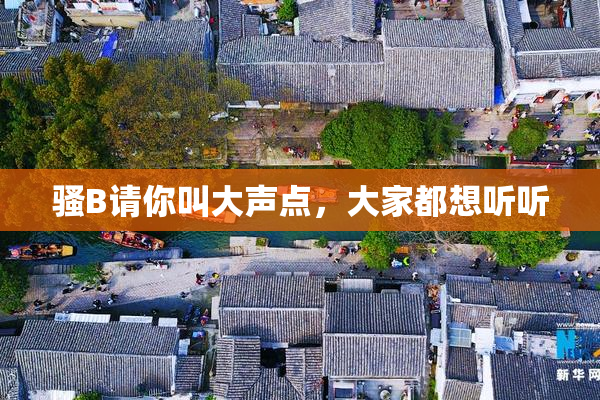 骚B请你叫大声点，大家都想听听