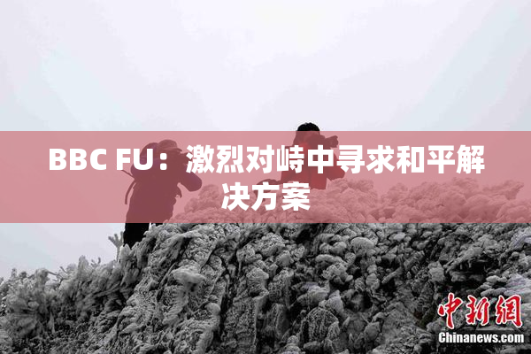 BBC FU：激烈对峙中寻求和平解决方案