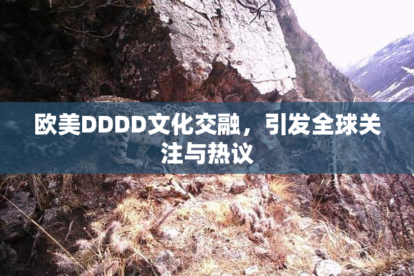 欧美DDDD文化交融，引发全球关注与热议