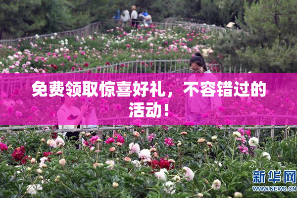 免费领取惊喜好礼，不容错过的活动！