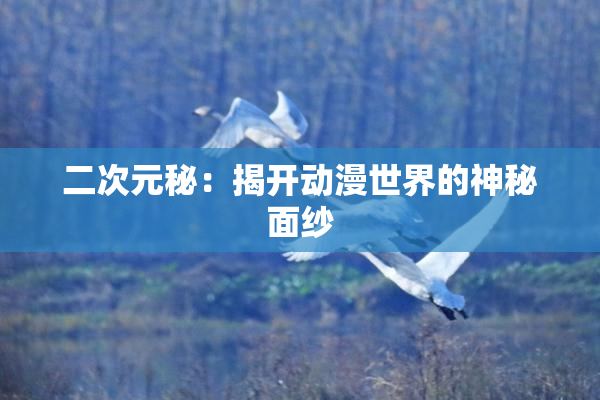 二次元秘：揭开动漫世界的神秘面纱