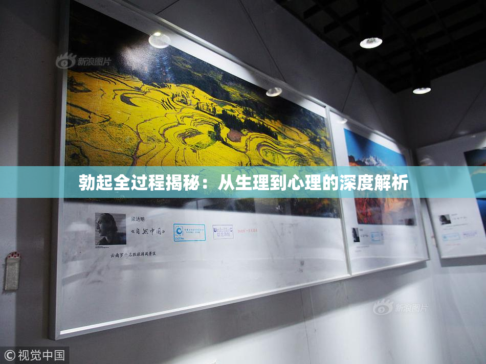 勃起全过程揭秘：从生理到心理的深度解析