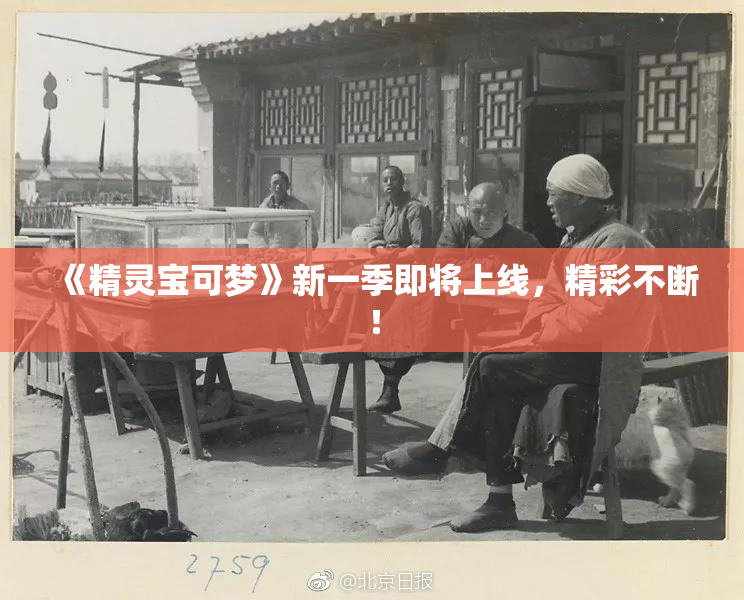 《精灵宝可梦》新一季即将上线，精彩不断！