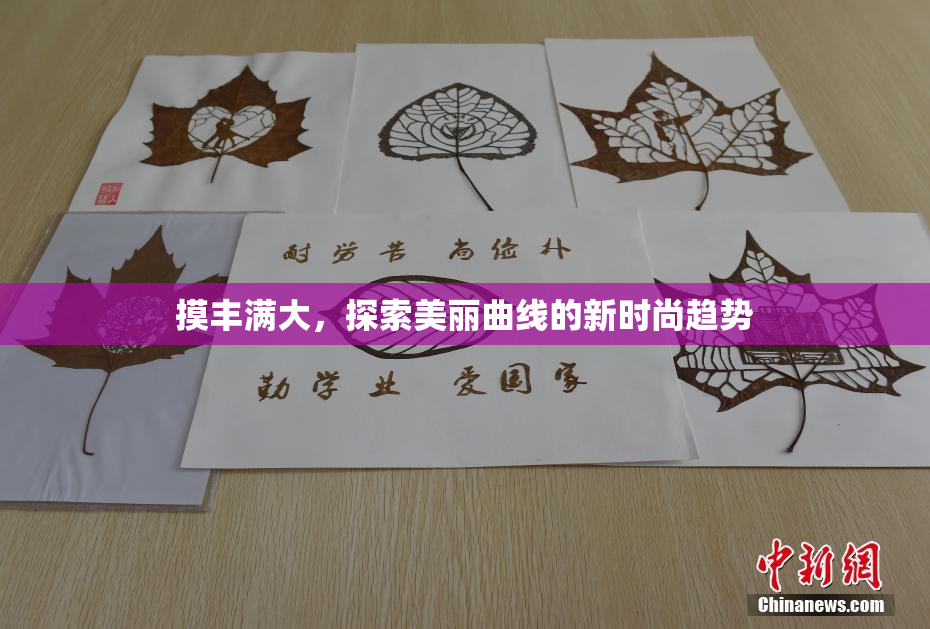 摸丰满大，探索美丽曲线的新时尚趋势