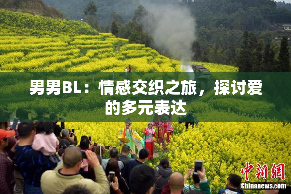 男男BL：情感交织之旅，探讨爱的多元表达