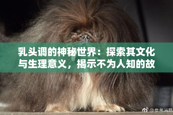 乳头调的神秘世界：探索其文化与生理意义，揭示不为人知的故事。