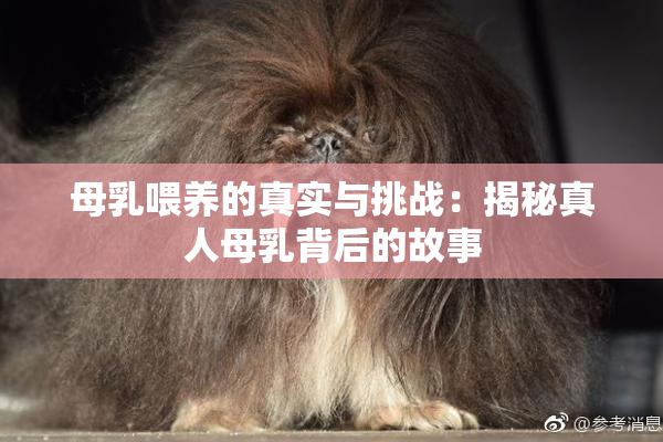 母乳喂养的真实与挑战：揭秘真人母乳背后的故事