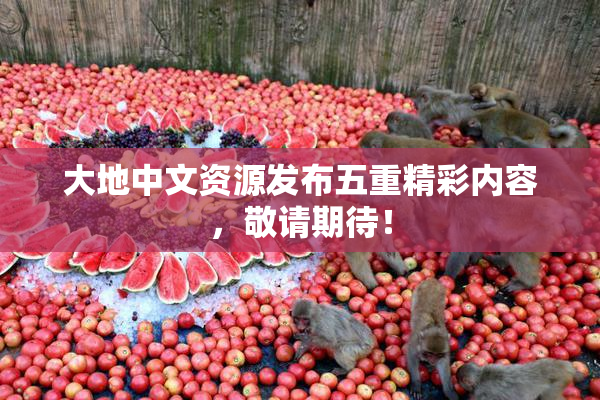 大地中文资源发布五重精彩内容，敬请期待！