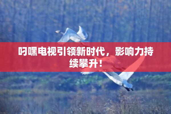叼嘿电视引领新时代，影响力持续攀升！