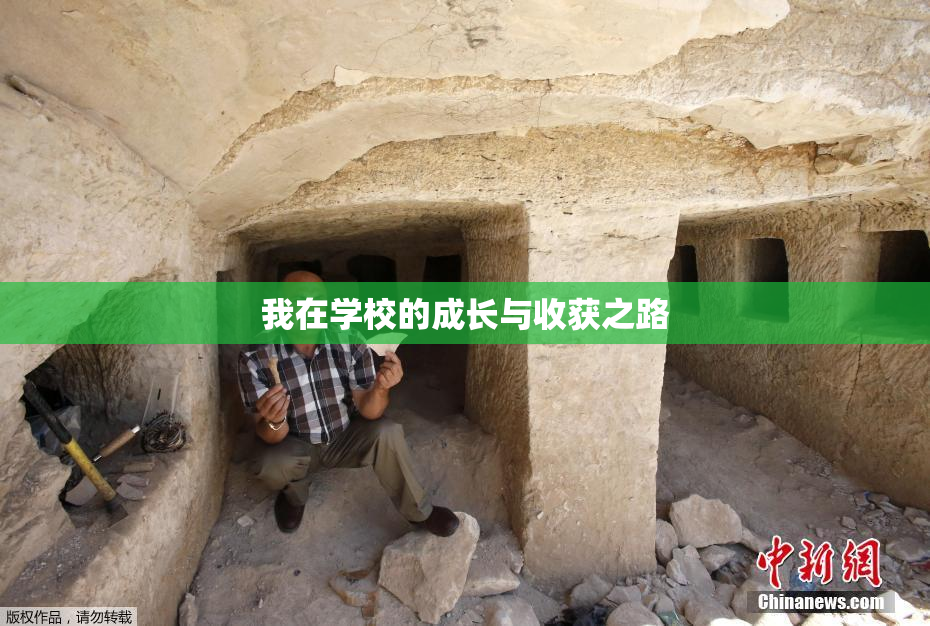 我在学校的成长与收获之路