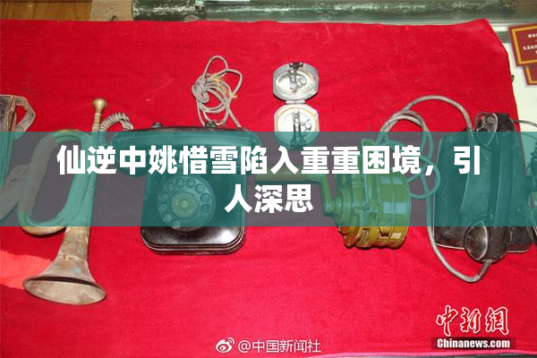 仙逆中姚惜雪陷入重重困境，引人深思