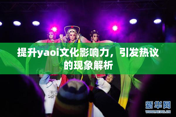 提升yaoi文化影响力，引发热议的现象解析